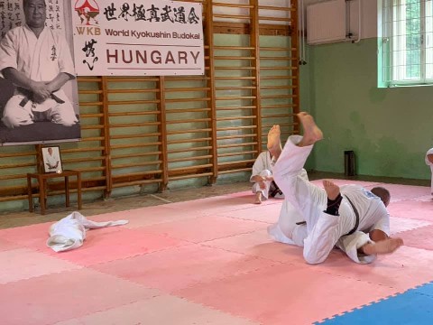 WKB Hungary-SHINDOKAI Hungary edzőtábor