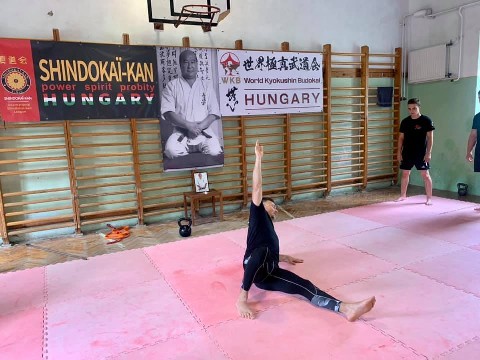 WKB Hungary-SHINDOKAI Hungary edzőtábor