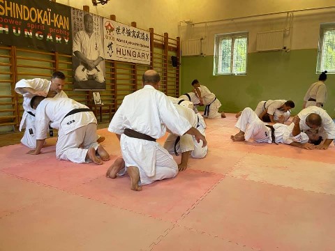WKB Hungary-SHINDOKAI Hungary edzőtábor