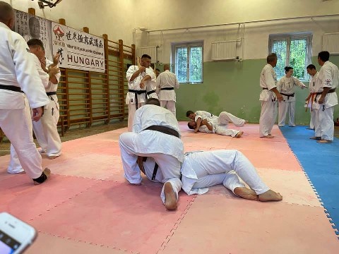 WKB Hungary-SHINDOKAI Hungary edzőtábor