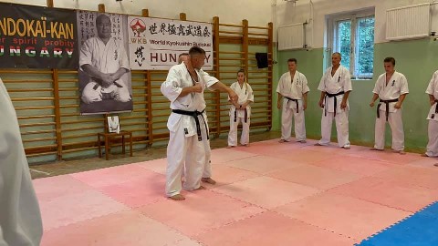 WKB Hungary-SHINDOKAI Hungary edzőtábor