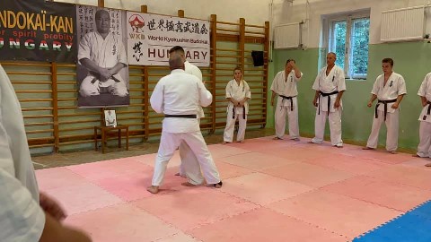 WKB Hungary-SHINDOKAI Hungary edzőtábor