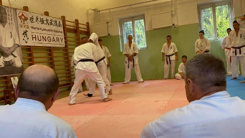 WKB Hungary-SHINDOKAI Hungary edzőtábor