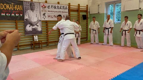WKB Hungary-SHINDOKAI Hungary edzőtábor