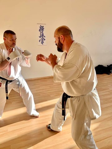 Seishin Shibu edzés
