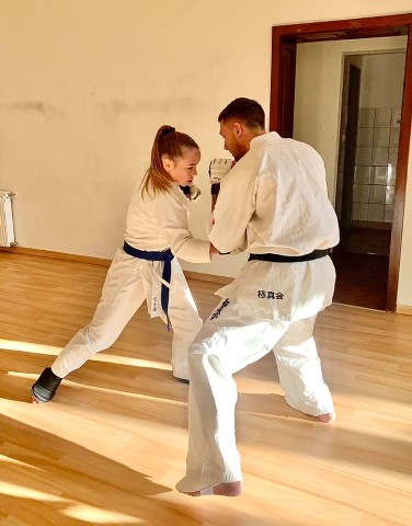 Seishin Shibu edzés