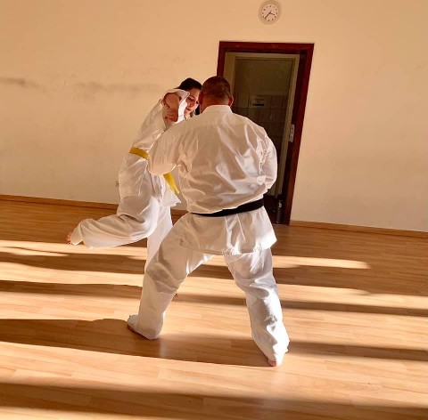 Seishin Shibu edzés
