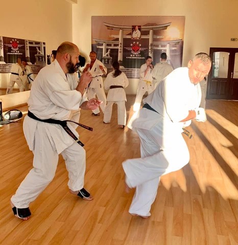Seishin Shibu edzés