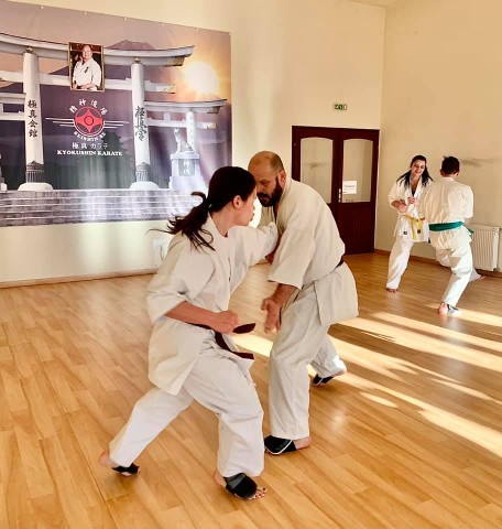 Seishin Shibu edzés