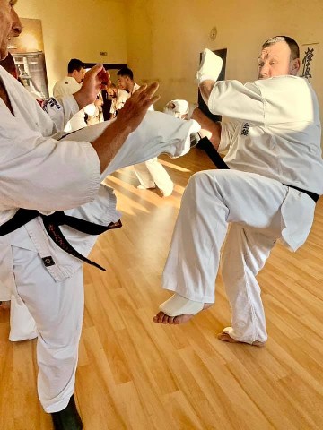 Seishin Shibu edzés