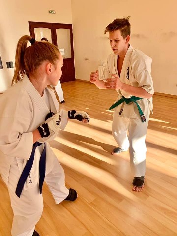 Seishin Shibu edzés