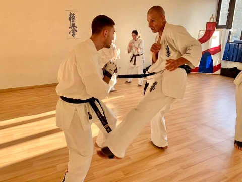 Seishin Shibu edzés