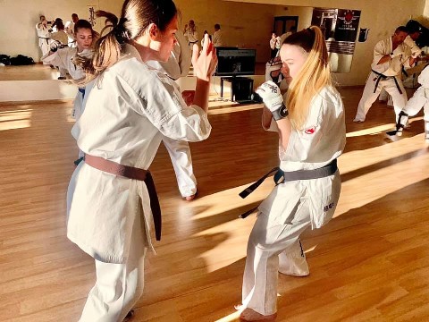 Seishin Shibu edzés