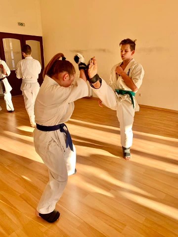 Seishin Shibu edzés