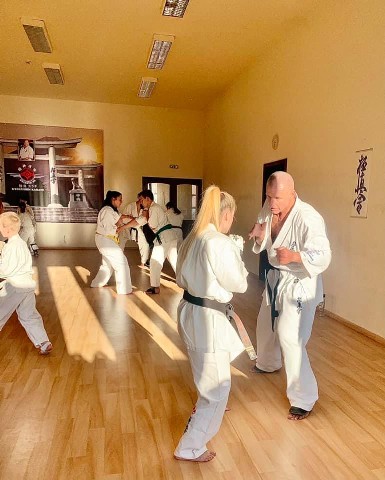 Seishin Shibu edzés