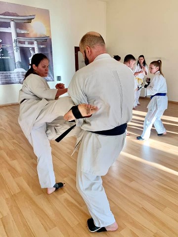 Seishin Shibu edzés