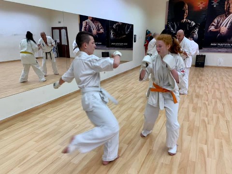 In memory of Sosai Oyama - V. Kumite training