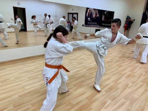In memory of Sosai Oyama - V. Kumite training