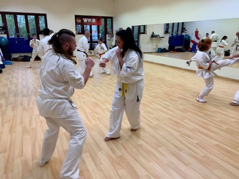 In memory of Sosai Oyama - V. Kumite training