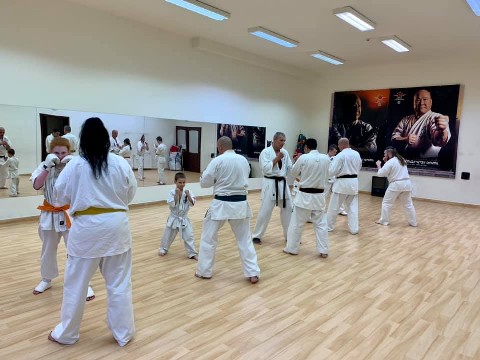 In memory of Sosai Oyama - V. Kumite training