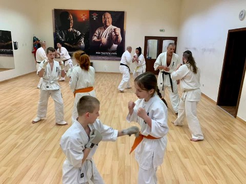 In memory of Sosai Oyama - V. Kumite training