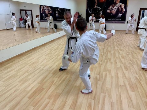 In memory of Sosai Oyama - V. Kumite training