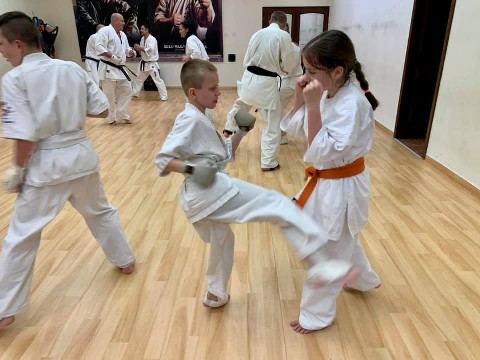In memory of Sosai Oyama - V. Kumite training