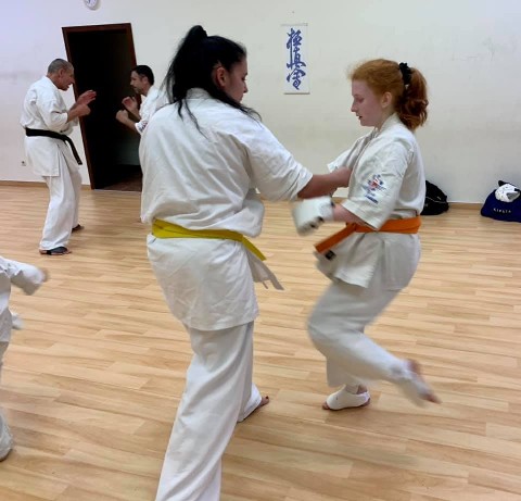 In memory of Sosai Oyama - V. Kumite training