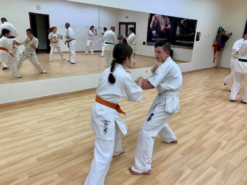 In memory of Sosai Oyama - V. Kumite training