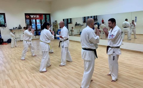 In memory of Sosai Oyama - V. Kumite training