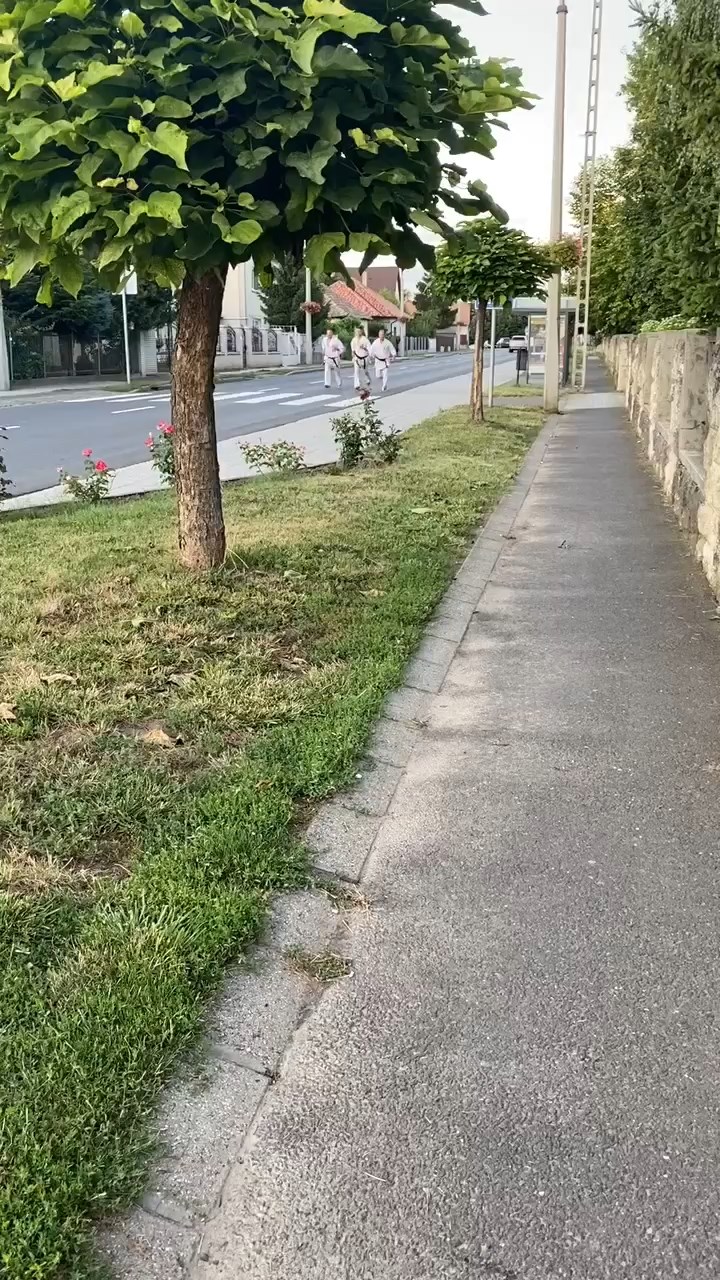 WKB Hungary-SHINDOKAI Hungary edzőtábor