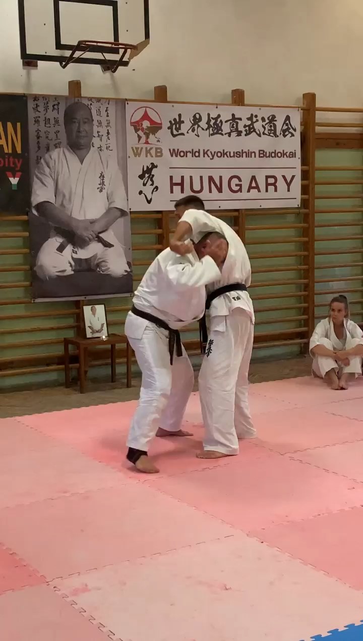 WKB Hungary-SHINDOKAI Hungary edzőtábor
