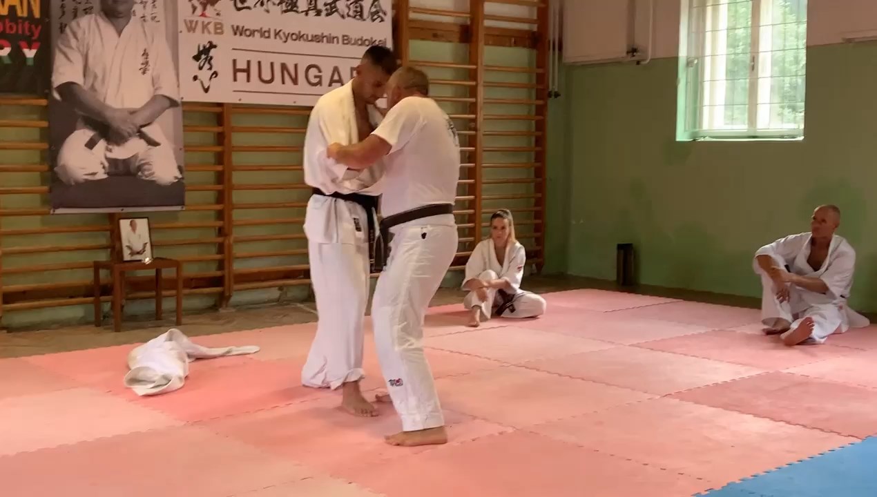 WKB Hungary-SHINDOKAI Hungary edzőtábor