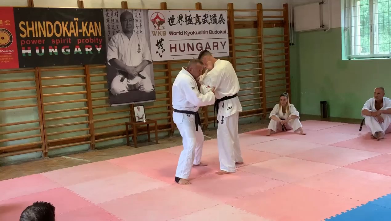 WKB Hungary-SHINDOKAI Hungary edzőtábor