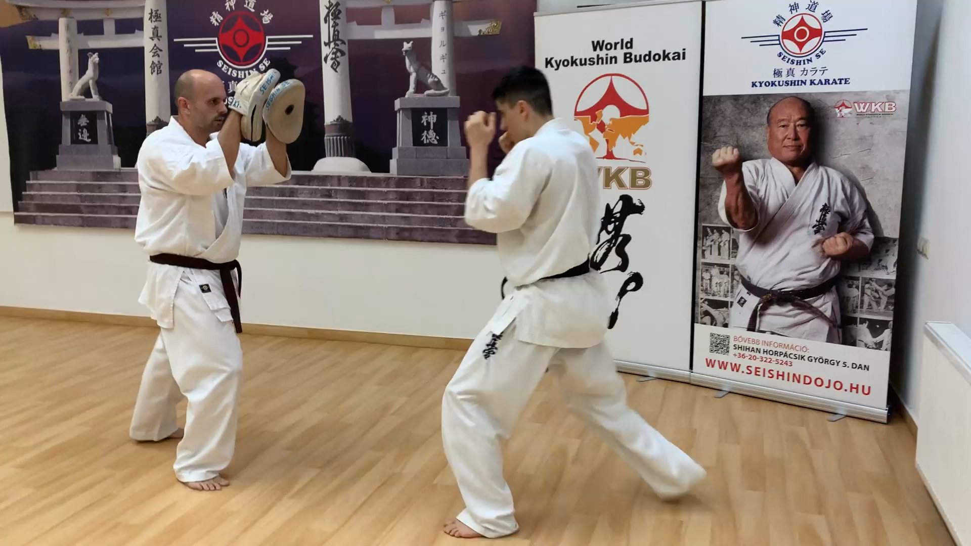 Seishin hét… 🥋⛩🥊💪