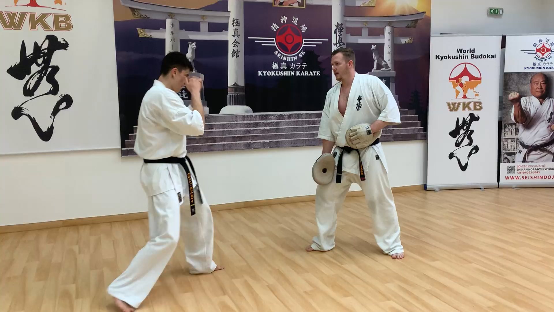 Seishin heti munka 🥋⛩