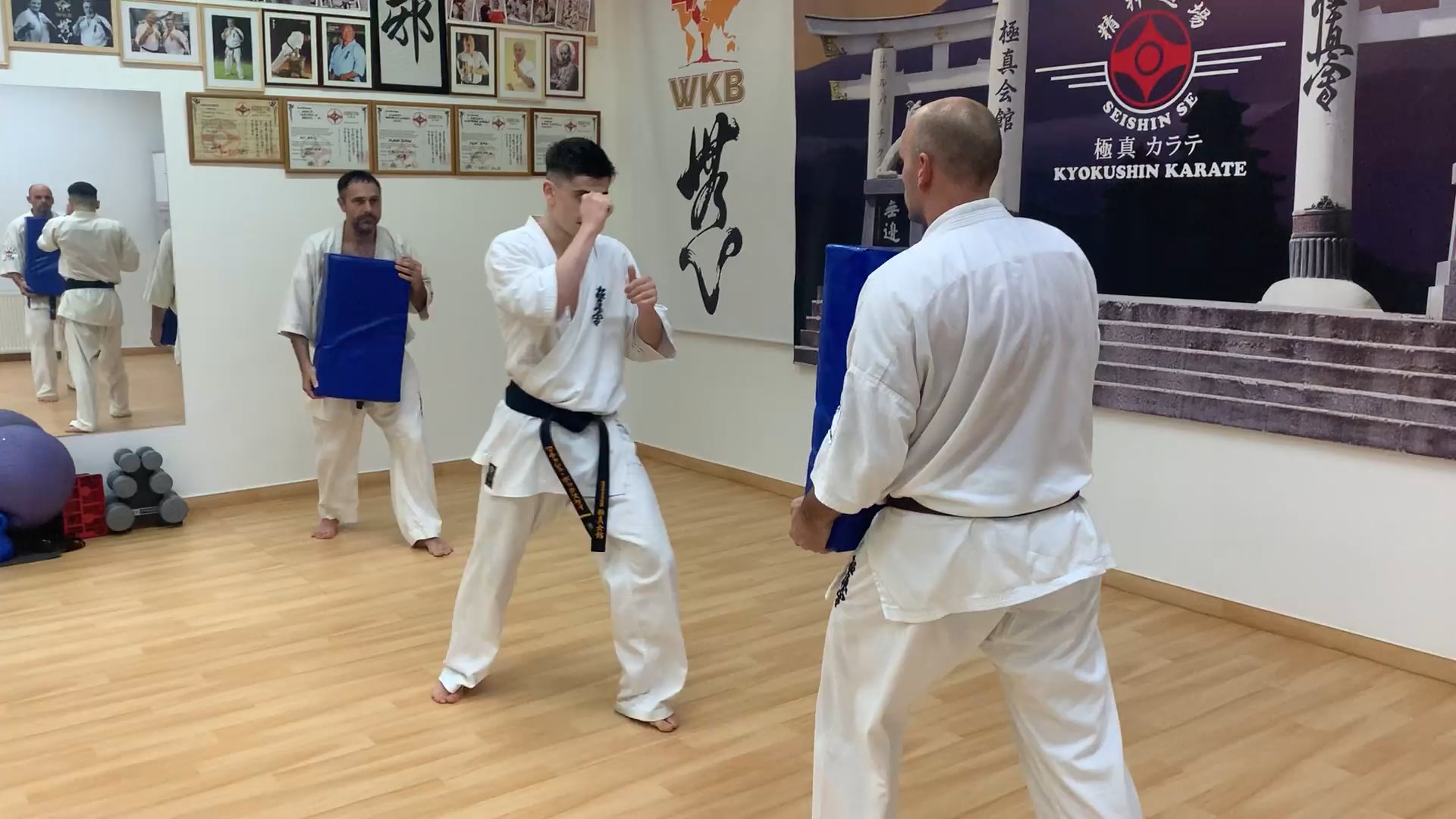 Seishin heti munka 🥋⛩