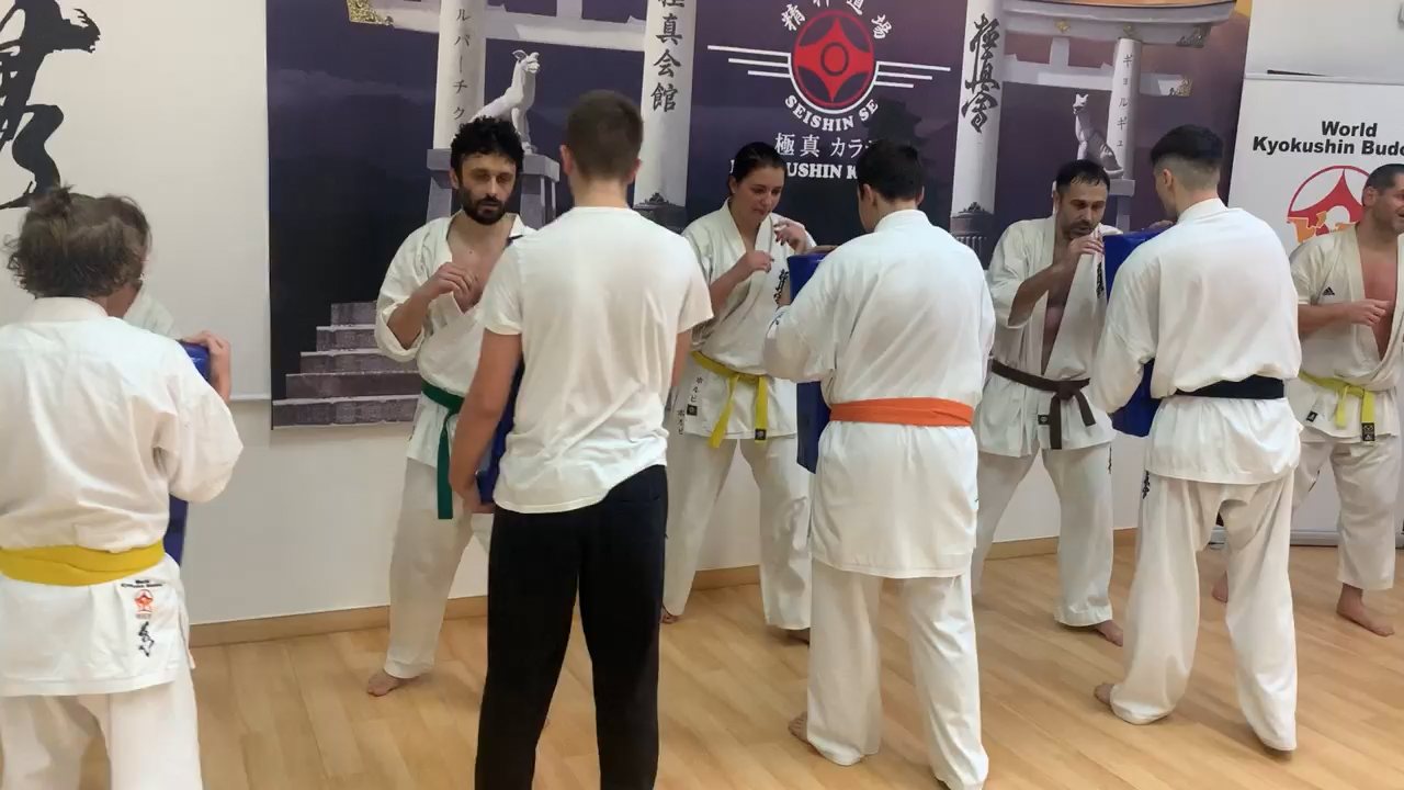 Seishin heti munka 🥋⛩
