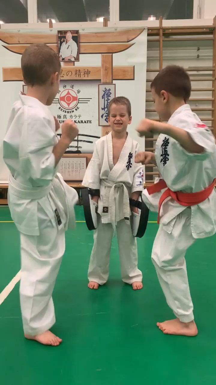 Seishin heti munka