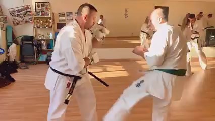 Seishin Shibu edzés