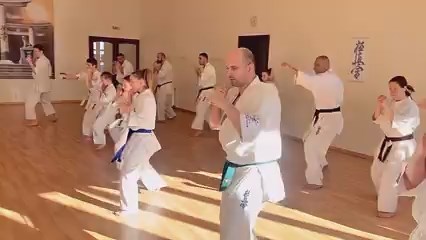 Seishin Shibu edzés