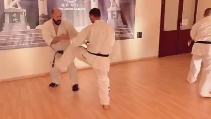 Seishin Shibu edzés