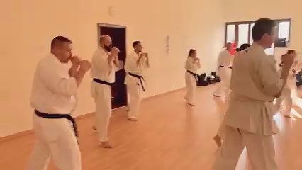 Seishin Shibu edzés