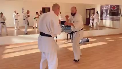 Seishin Shibu edzés