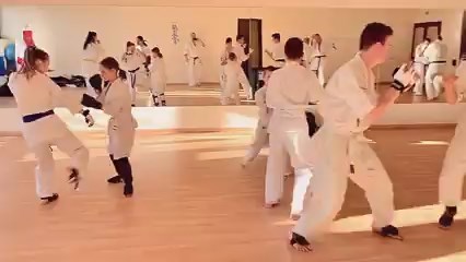 Seishin Shibu edzés