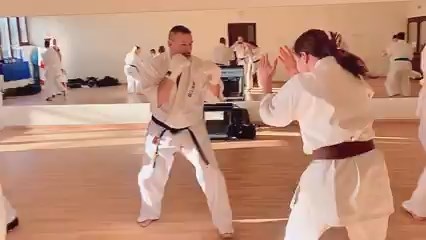 Seishin Shibu edzés