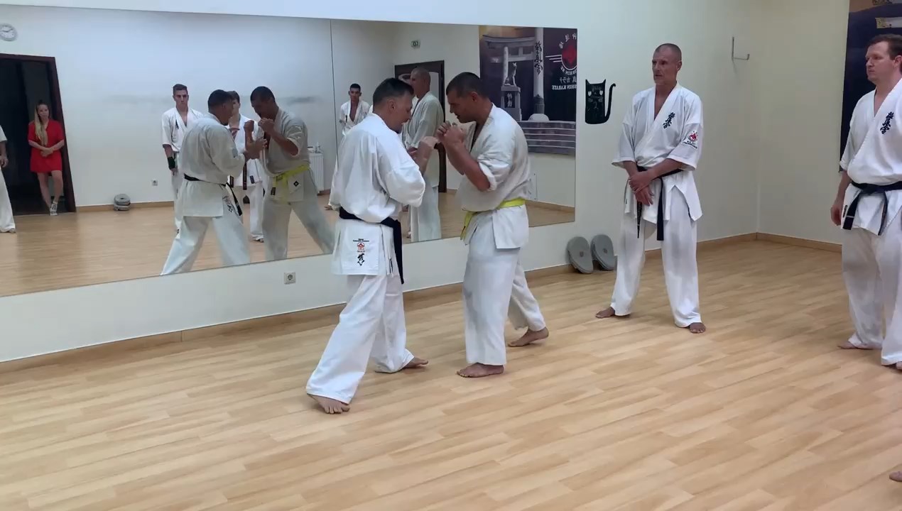 Sensei Kun Attila tréning a Seishin Dójóban