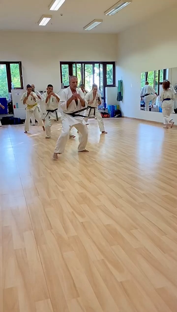 Sensei Kun Attila tréning a Seishin Dójóban