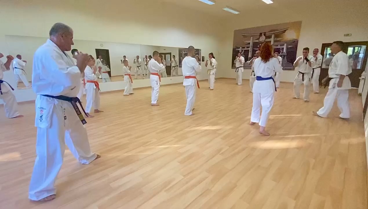 Sensei Kun Attila tréning a Seishin Dójóban