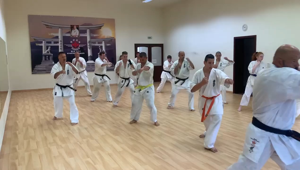 Sensei Kun Attila tréning a Seishin Dójóban